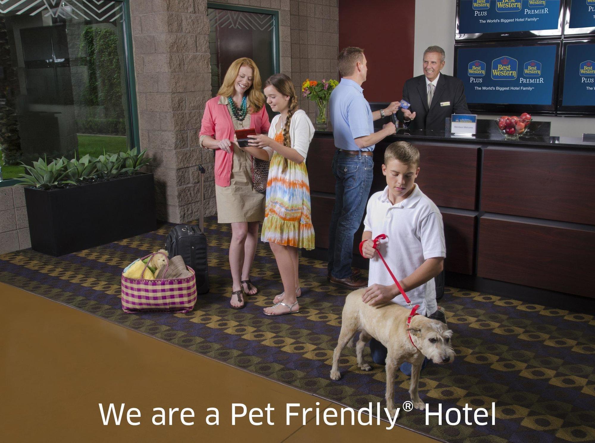 Quality Inn & Suites Phoenix Nw - Sun City Youngtown Bagian luar foto